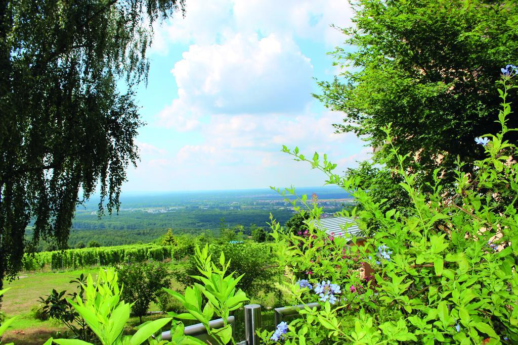 אלזנאו אין אונטרפראנקן Schoene Aussicht מראה חיצוני תמונה